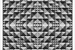 E-009