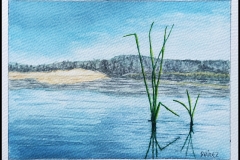 Campo_018  | 04 - 2020 | Acuarela sobre papel  | 20  x 15 cm
