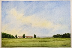 070
