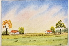 080