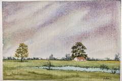 081