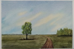260