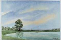 261