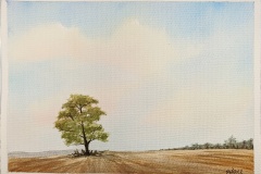 362