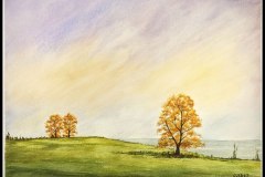 Paisaje-de-Campo-105