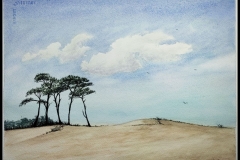 Paisaje-de-Playa-108