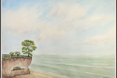 Playa-Kiyu